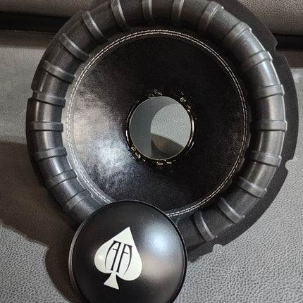 Audio Ace Wild 12" 2250W RMS Dual-4-Ohm Subwoofer Recone Kit