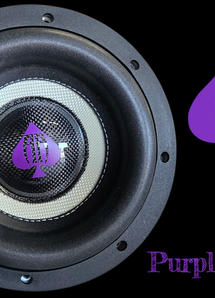 AUDIO ACE STR8 NST 8" DUAL 2 OHM SUBWOOFER
