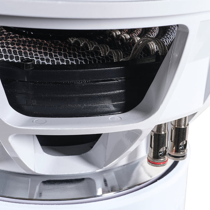 AUDIO ACE JESTER 15" DUAL 2 OHM SUBWOOFER