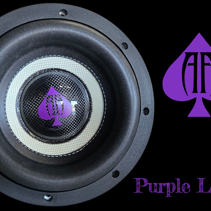 AUDIO ACE STR8 NST 8" DUAL 2 OHM SUBWOOFER