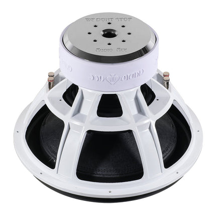 AUDIO ACE JESTER 18" DUAL 2 OHM SUBWOOFER