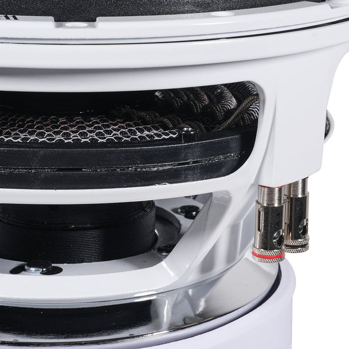 AUDIO ACE JESTER 12" DUAL 2 OHM SUBWOOFER