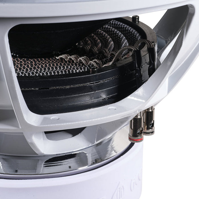 AUDIO ACE JESTER 18" DUAL 2 OHM SUBWOOFER