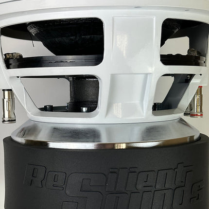 RESILIENT SOUNDS GOLD V2 10" DUAL 4 OHM (D4) SUBWOOFER