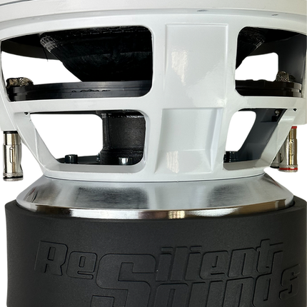 RESILIENT SOUNDS GOLD V2 10" DUAL 4 OHM (D4) SUBWOOFER
