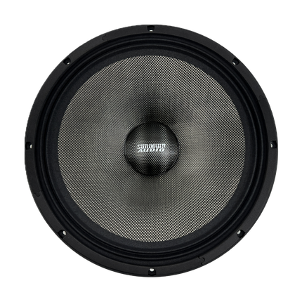 NeoPro-12 v.4 12" Pro Audio Midrange Speaker