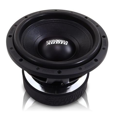 U-Series v.2 12" Subwoofer