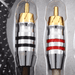 SAZ2-20FT SAZ 2-Channel RCA Interconnects - Sundown Audio